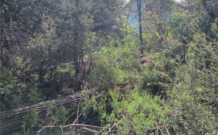 53309 Road 432, Bass Lake