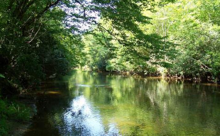 LOT 3 Indian Trail, Mccaysville