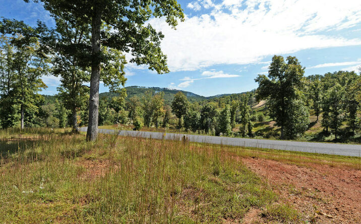 LT 87 Riverside On Lake No, Blairsville