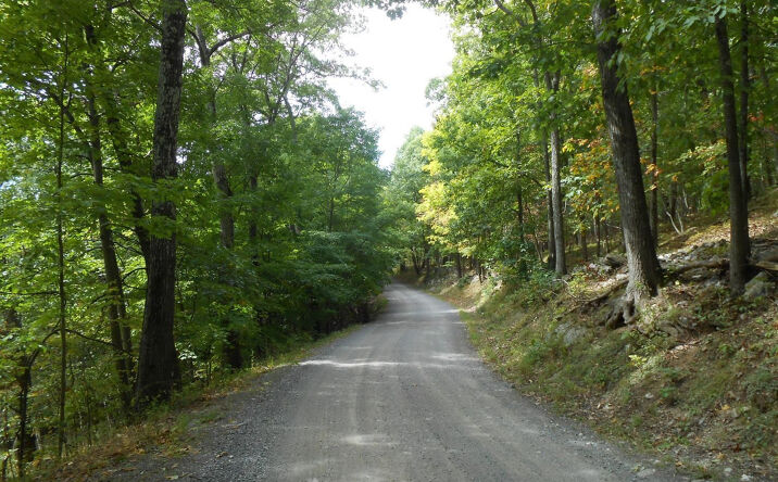 Mallory Road, Austerlitz