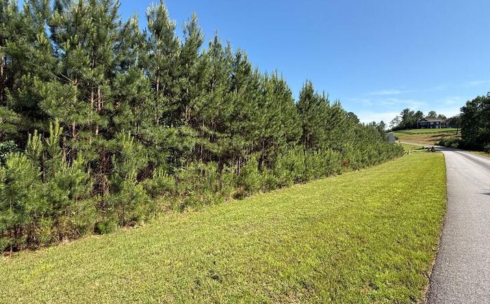 Lot 228 The Cove @ 1300, Blairsville