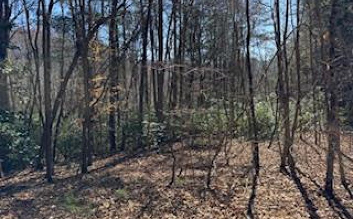 Lot 1 Laurel Ridge Road, Blairsville
