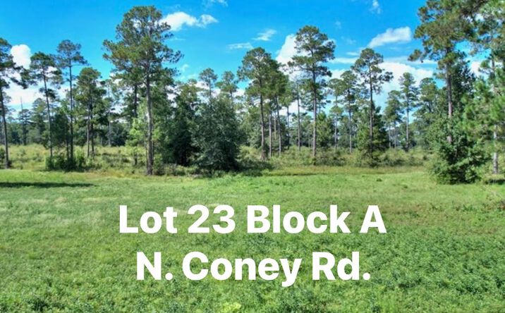 TBD N Coney Rd. Lot 23, Cordele