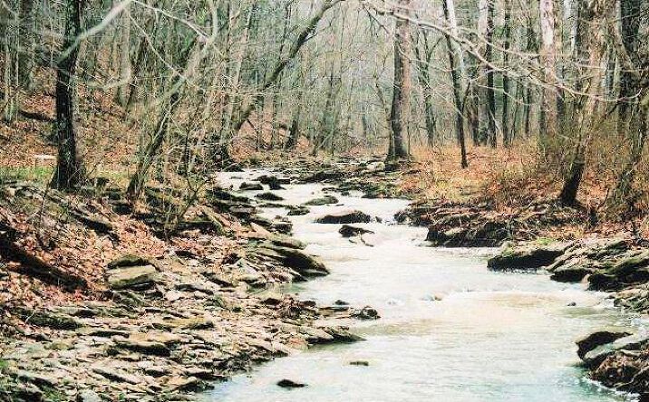 Ralph Miller Road, Vevay