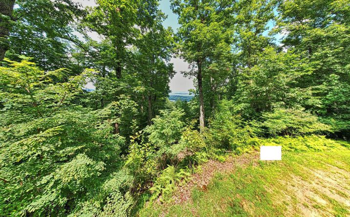 LT120 Croft Mountain, Blairsville