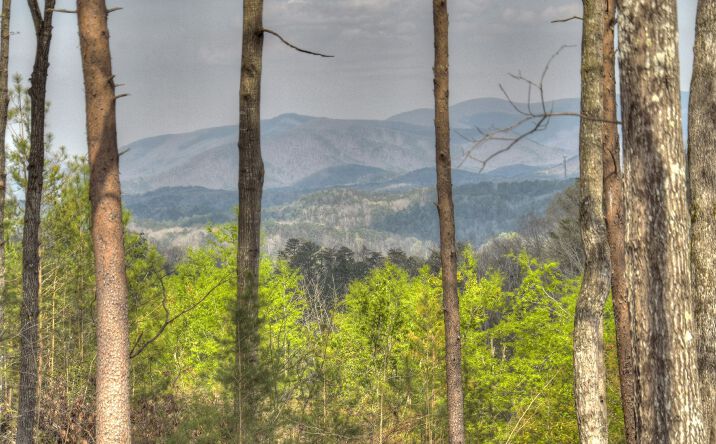 LT31 Summit View Drive, Ellijay