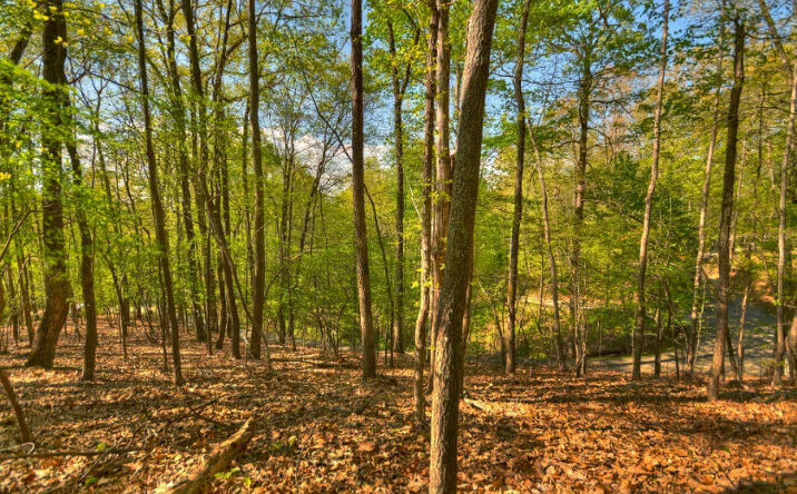19A Greenridge Mountain Road, Blue Ridge