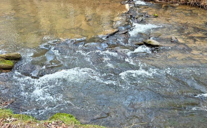 Lot 12 Mcafee Knob Road, Ellijay