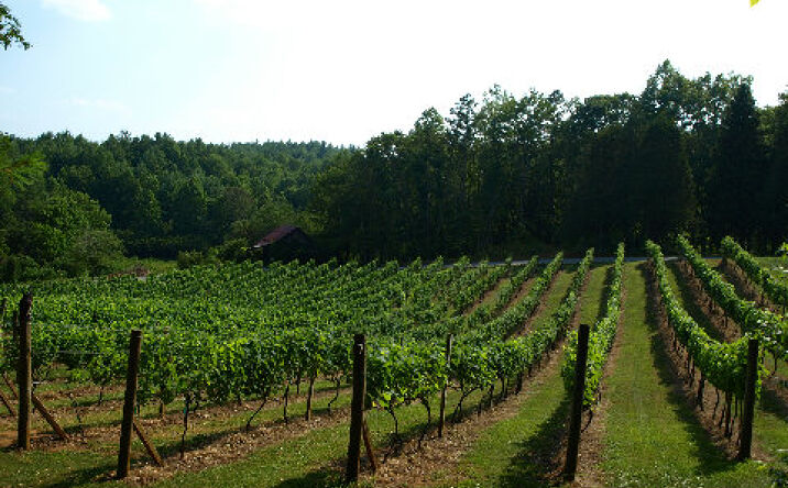 LT 17 Vineyard Creek Way, Murphy