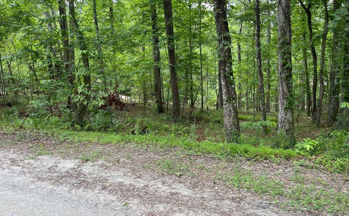 Beacon Point Road, Morganton