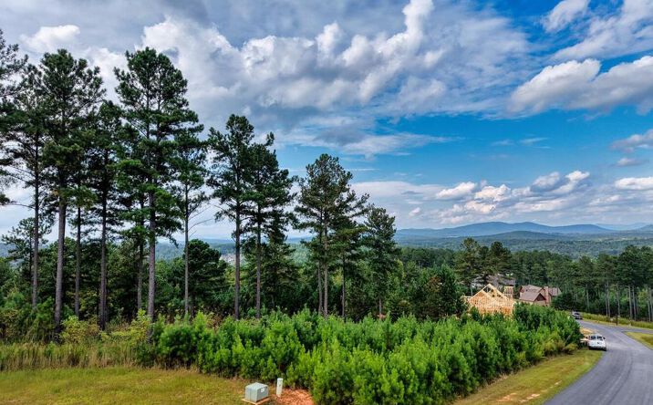 Lot 336 Loop Lane, Blairsville