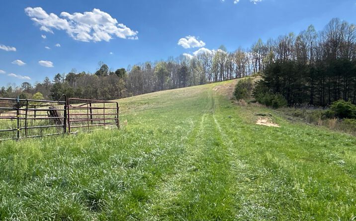 1322 Peniel Road, Patriot