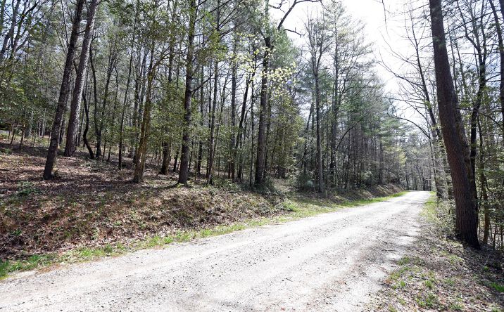 5.7AC Canada Creek Road, Suches