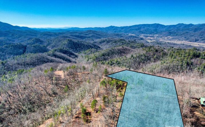 1441 Valley View Heights Lane, Andrews
