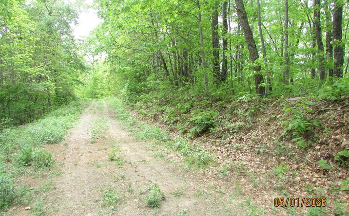 Taylor Knob Drive, Hayesville