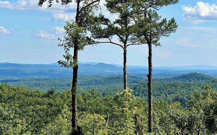 Lot 73 Mountain View Road, Ellijay