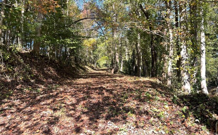 1.87 AC Hwy 180 And 348, Blairsville