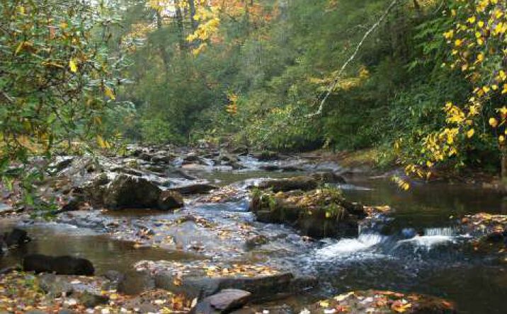 Vineyard Creek Way, Murphy