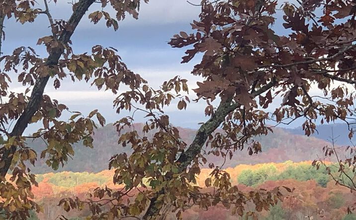 Lot 24 Grand Laurel, Brasstown