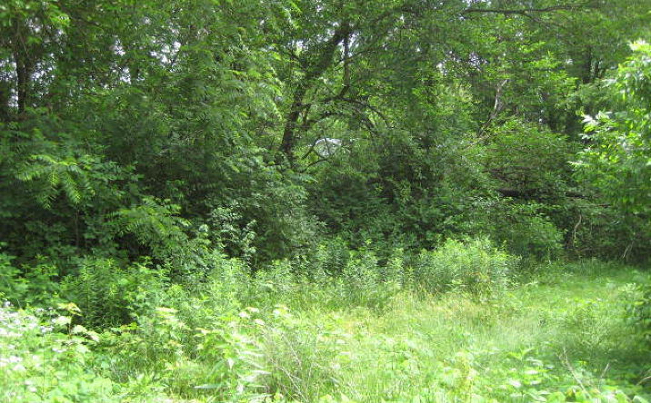Lot 005 Rosewood Street, Wilmington