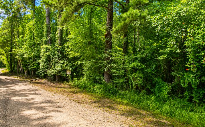 Belle Gardner Road, Amite