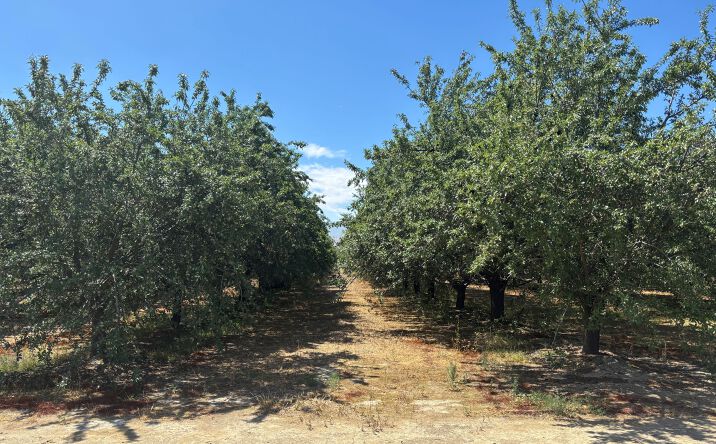641 Schallock Road, Bakersfield