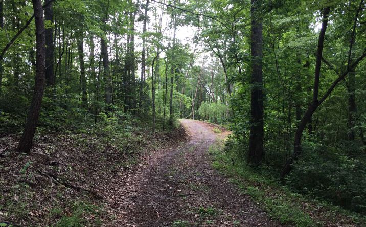L43 B Mountain Rivers Lane, Mineral Bluff