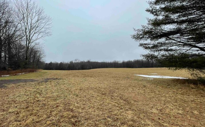 White Sulphur Road, Liberty