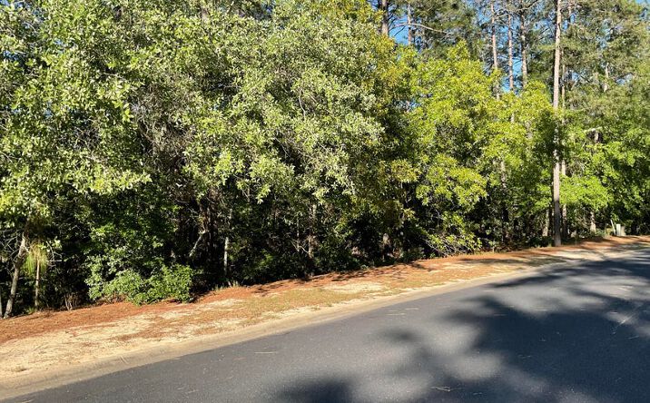 Lady Bank Lane, Aiken