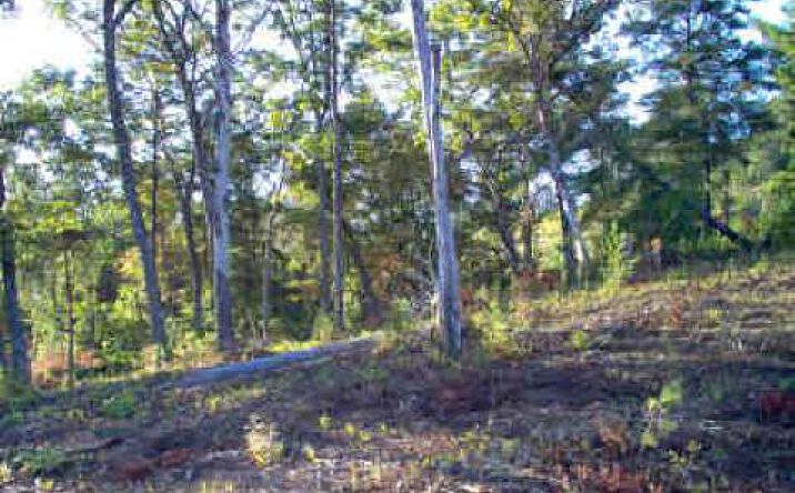 LOT 5 Sunshine Mountain, Blue Ridge