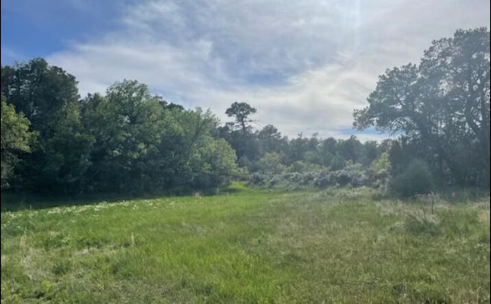 101 Naranjo Creek Rd, La Jara