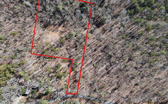 1030 Old Flat Branch Road, Ellijay