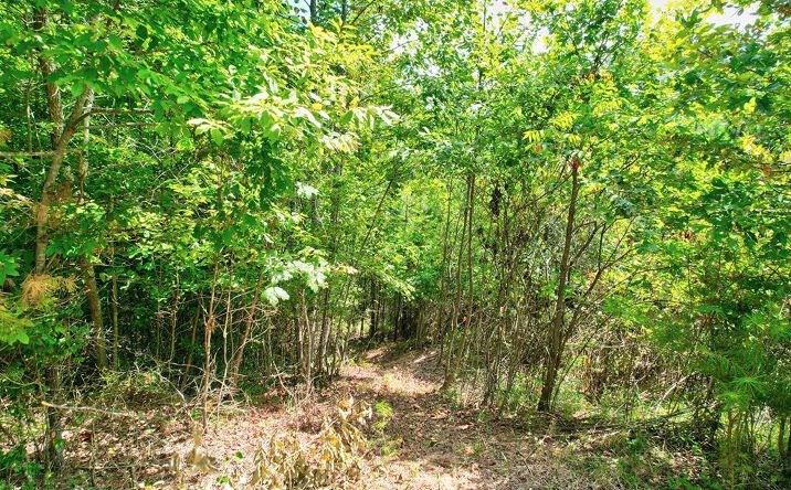 Lot 20 River Ridge, Blue Ridge