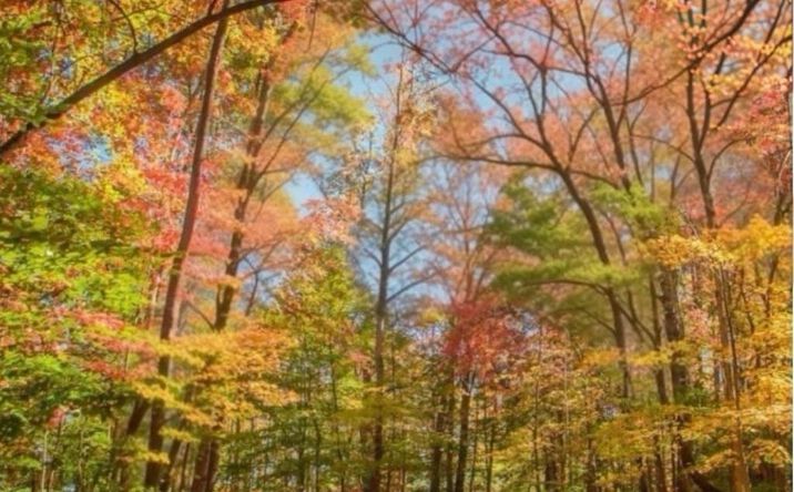 2.06 AC River Ridge Lane, Blue Ridge