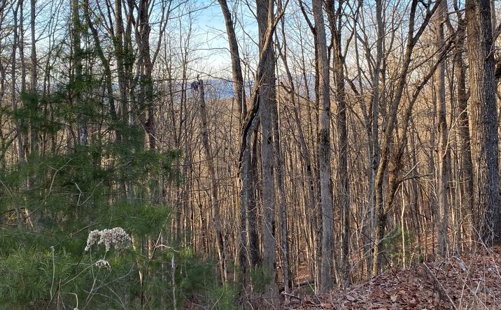 LOT10 Price Road, Blue Ridge