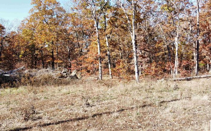 40 Acres Whitetail, Lincoln