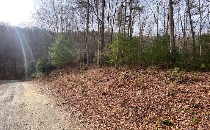 LOT14 Dana Road, Mineral Bluff