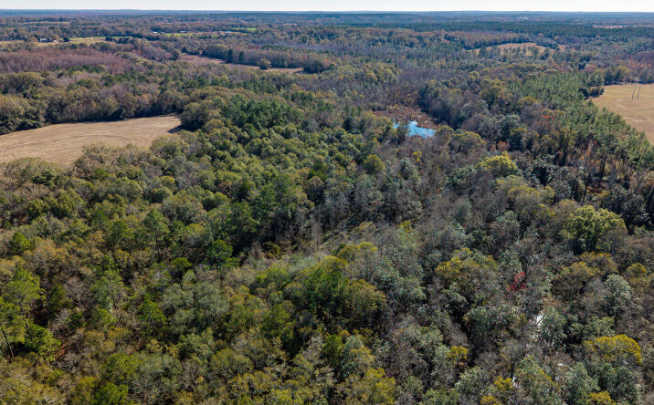 0 Cuthriell Rd, Samson