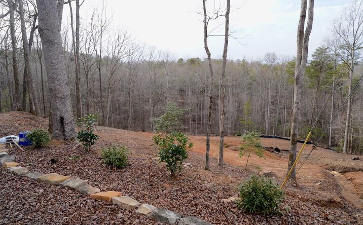 LOT 8R Whispering Oaks Drive, Ellijay