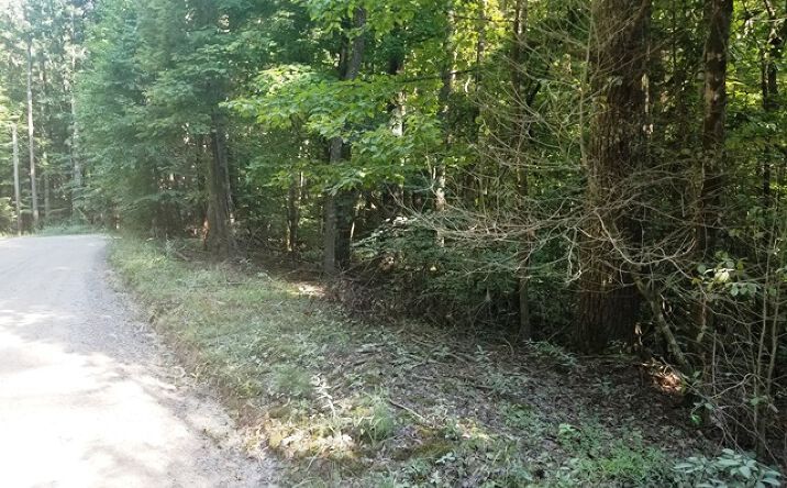 LT 10 Bear Paw Trail, Blue Ridge
