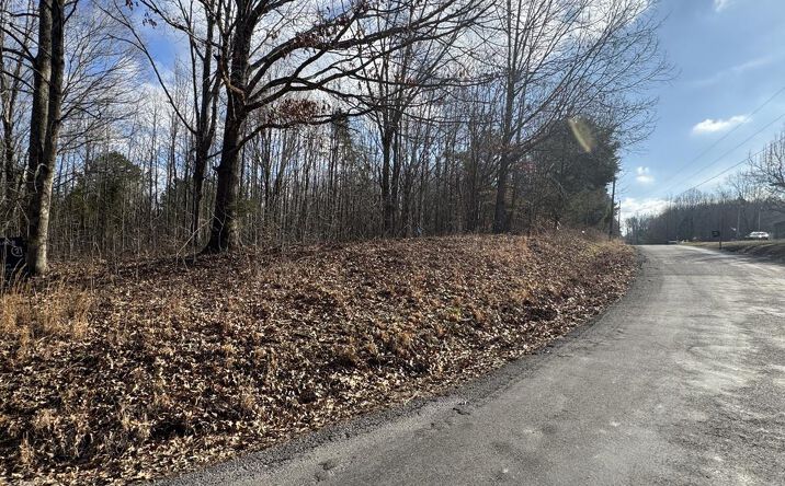 Crestview Dr, Bumpus Mills