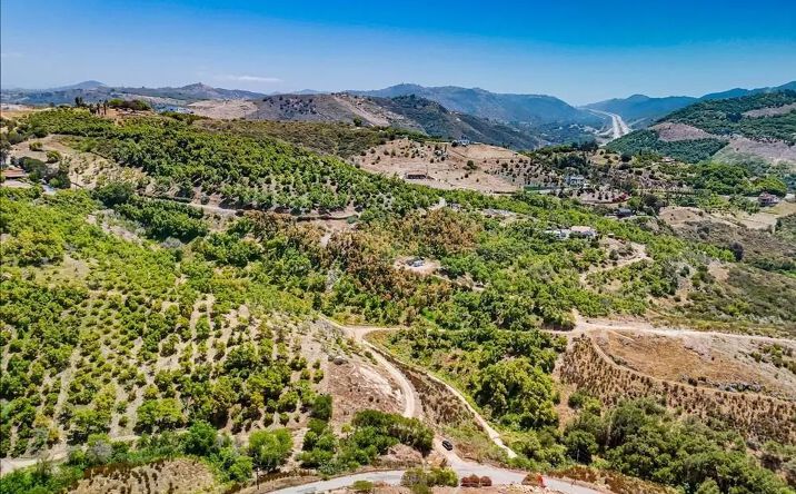 31675 Rancho Amigos Rd Unit 1, Bonsall