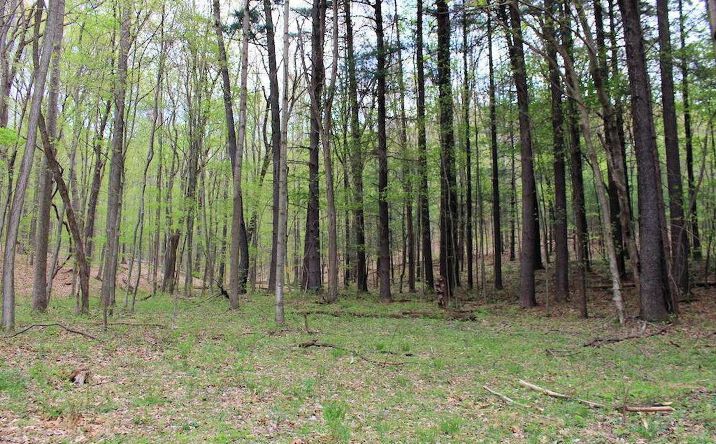 14.45ac Piney Creek Road, Chillicothe