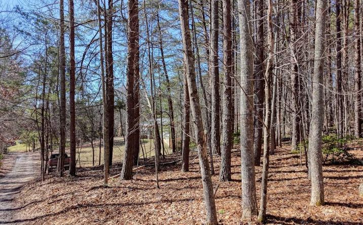 3.07 Acr Sunset Drive, Blairsville