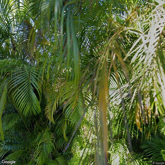 1244 Hollywood Blvd, Hollywood