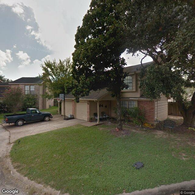 10113 Spring Place Drive, Houston