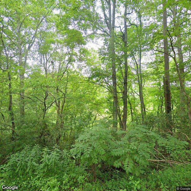 19 Possum Poke Road, Ellijay