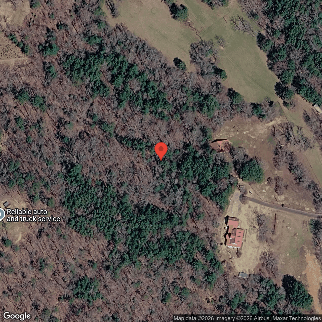 Enchanting Forest, Morganton