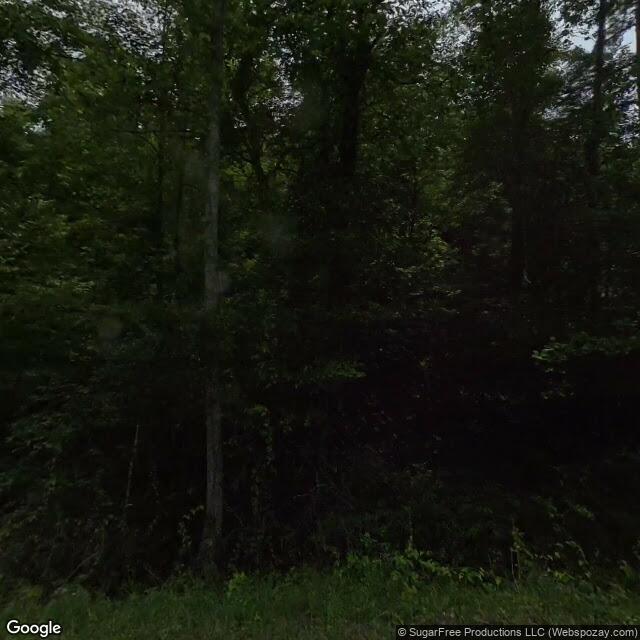 24 Mountain Cove Way, Murphy