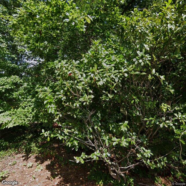 5701 West Gate City Boulevard, Greensboro